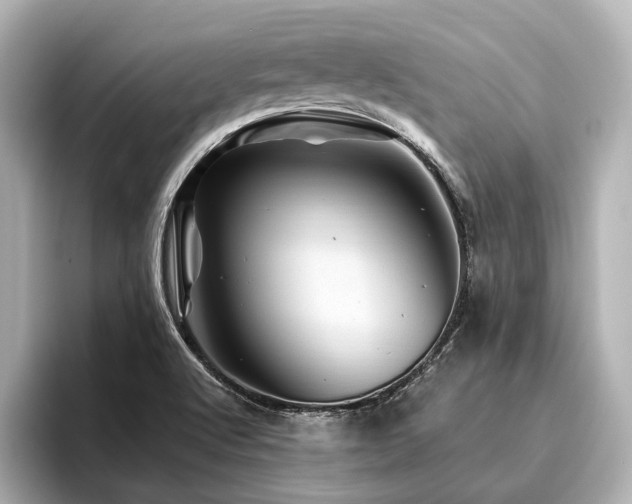 X0000096441512200801241348