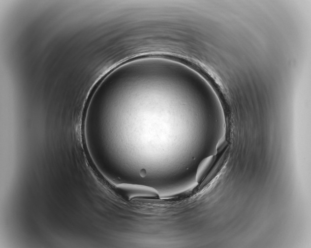 X0000096441513200801241348