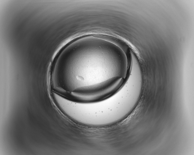 X0000096441514200801241348