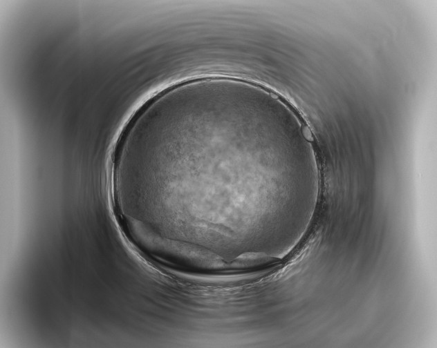 X0000096441515200801241348