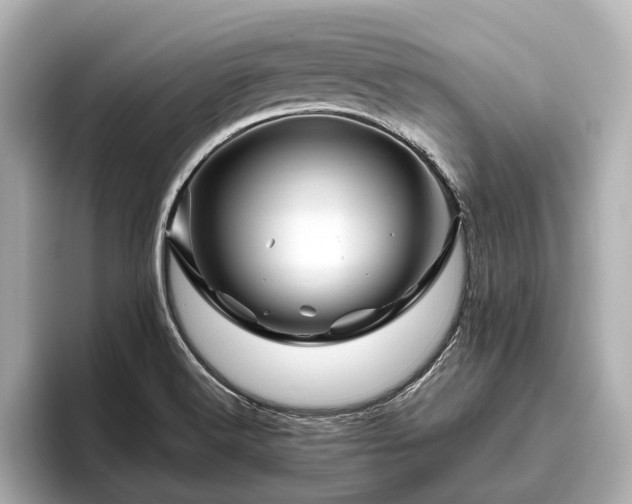 X0000096441516200801241348