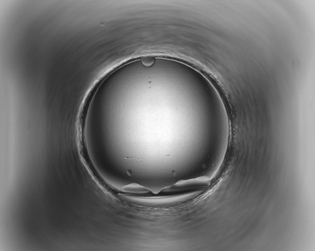 X0000096441517200801241348