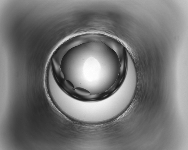X0000096441518200801241348
