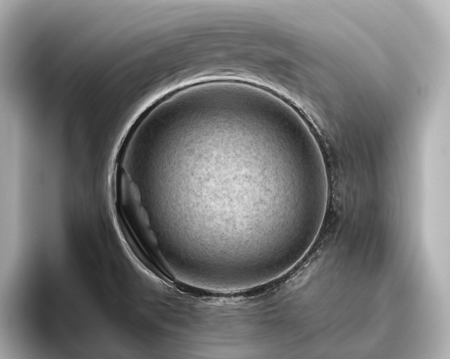 X0000096441519200801241348
