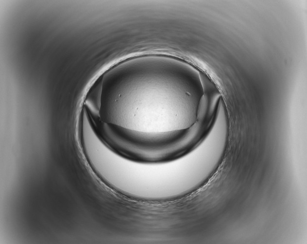 X0000096441520200801241348