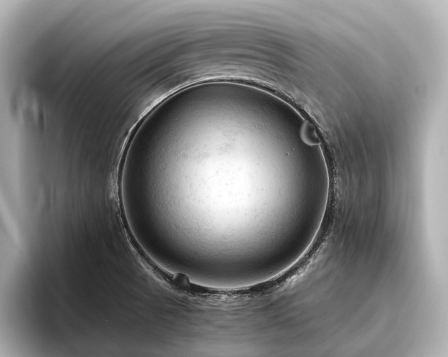 X0000096441521200801241348