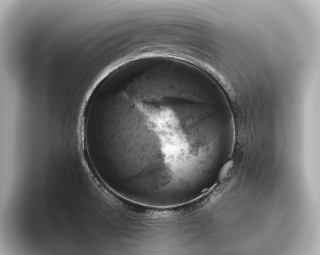 X0000096441522200801241348