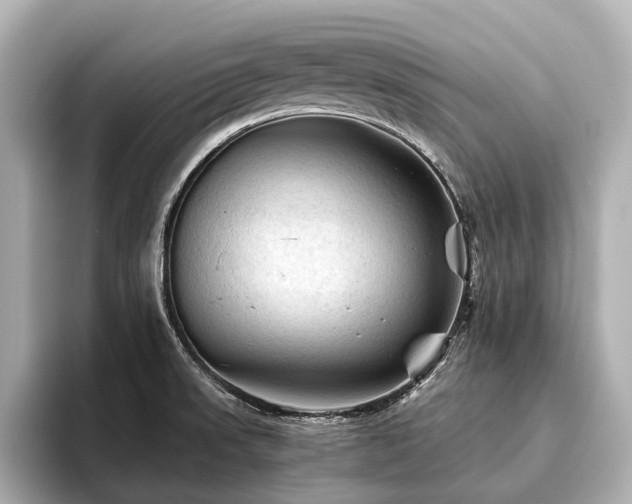 X0000096441523200801241348