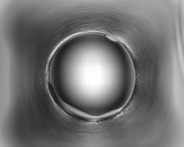 X0000096441524200801241348