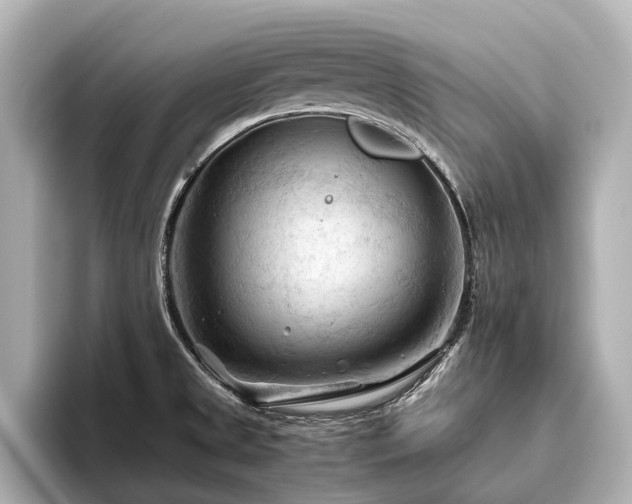 X0000096441525200801241348