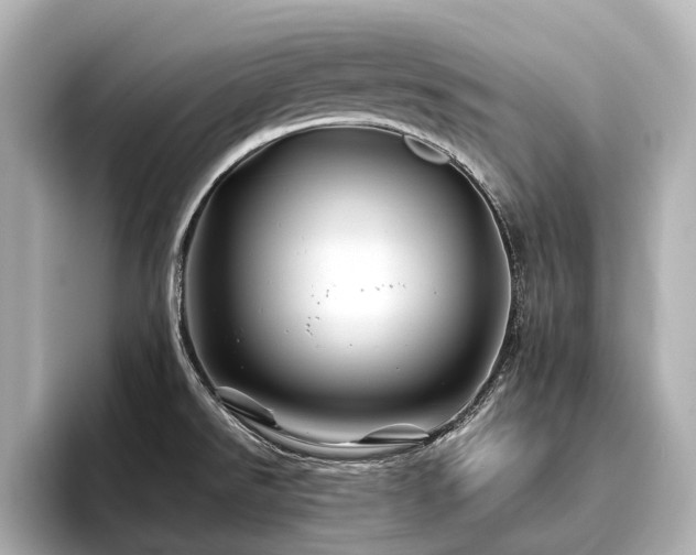 X0000096441526200801241348