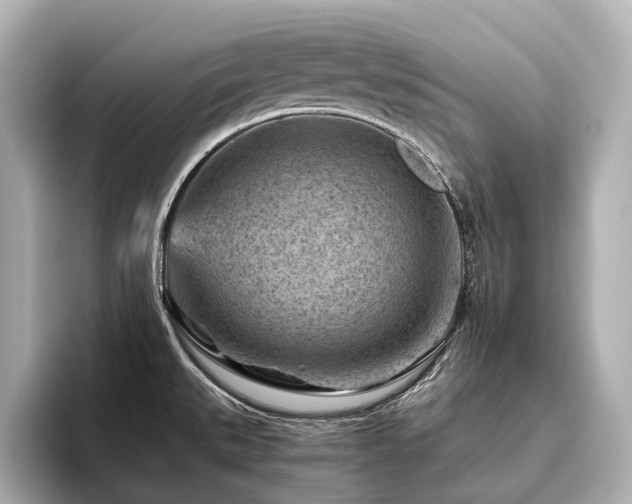 X0000096441527200801241348