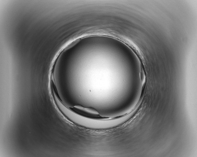 X0000096441528200801241348