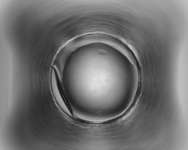 X0000096441529200801241348