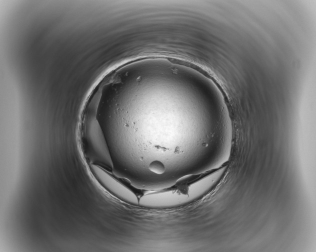 X0000096441531200801241348
