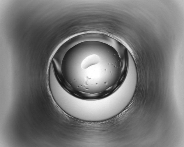 X0000096441532200801241348