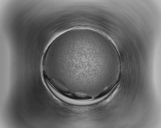 X0000096441533200801241348