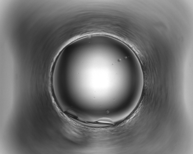 X0000096441534200801241348