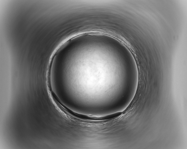 X0000096441536200801241348