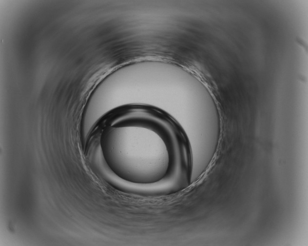 X0000096440001200801311439