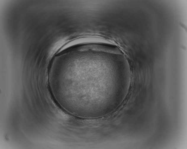 X0000096440005200801311439