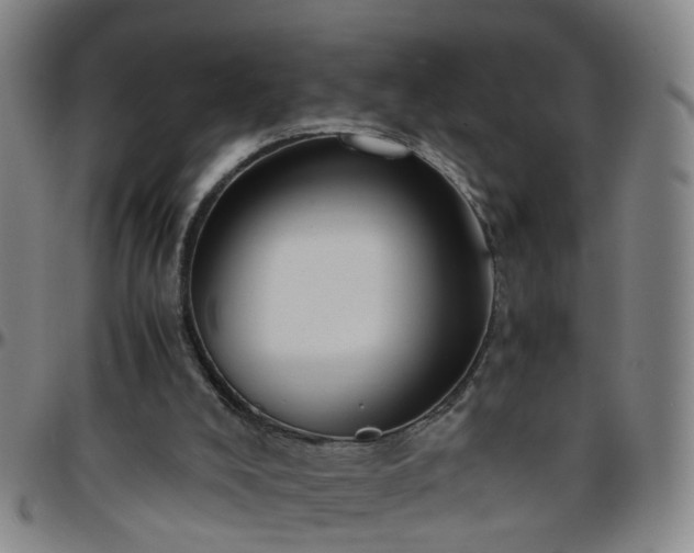 X0000096440008200801311439