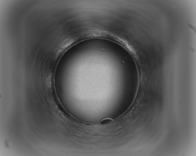 X0000096440010200801311439