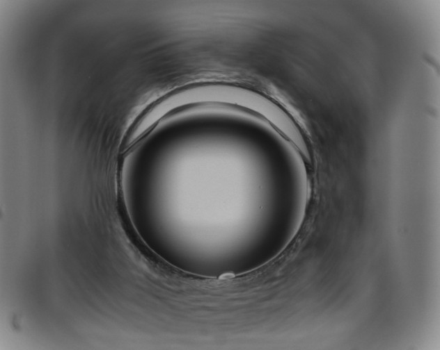 X0000096440011200801311439