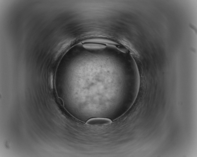 X0000096440014200801311439