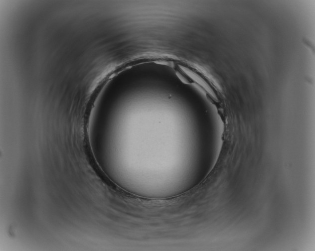 X0000096440015200801311439