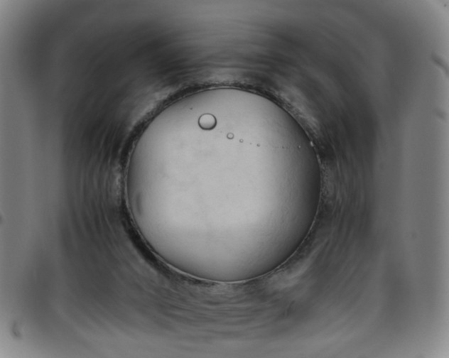 X0000096440016200801311439