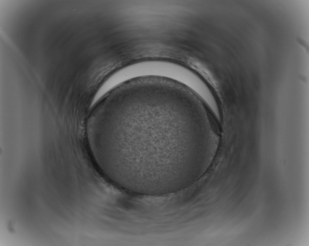 X0000096440017200801311439