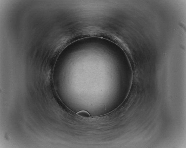 X0000096440018200801311439