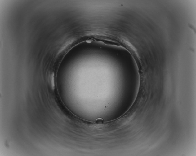 X0000096440020200801311439