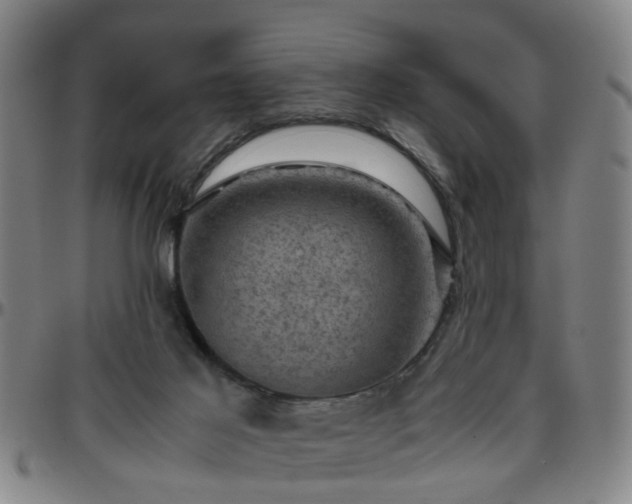 X0000096440021200801311439