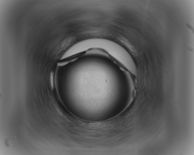 X0000096440022200801311439