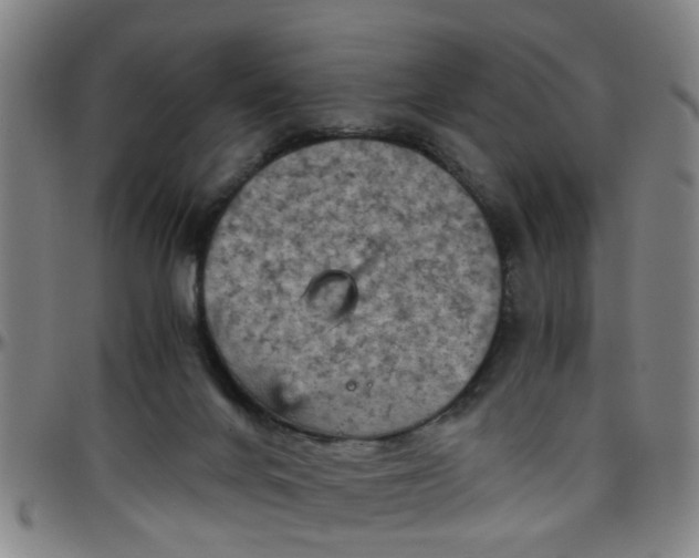 X0000096440024200801311438