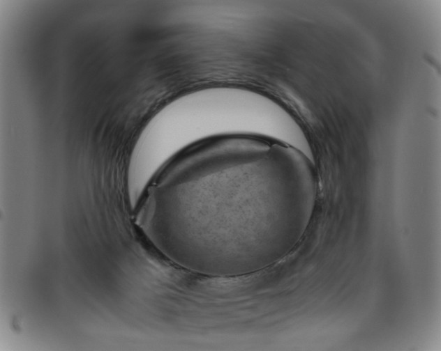 X0000096440025200801311438