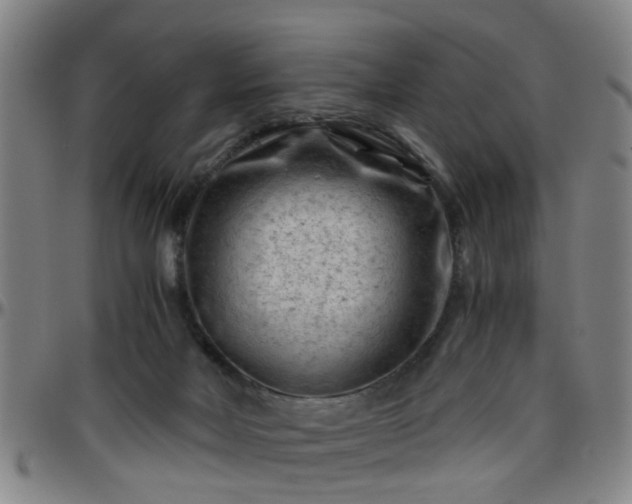 X0000096440026200801311438