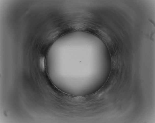 X0000096440028200801311438