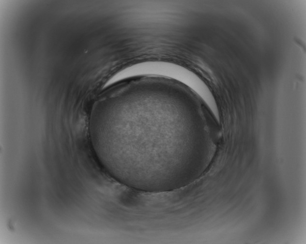 X0000096440029200801311438