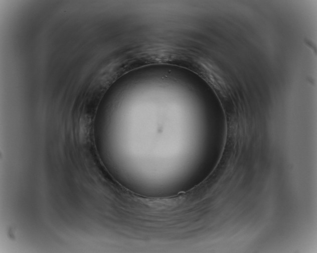 X0000096440030200801311438