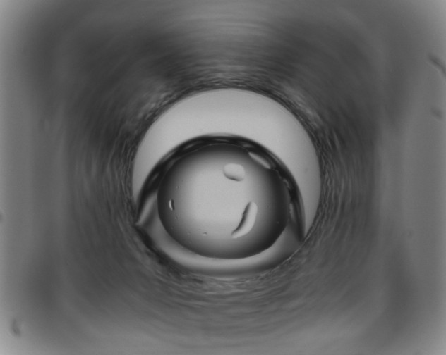 X0000096440031200801311438