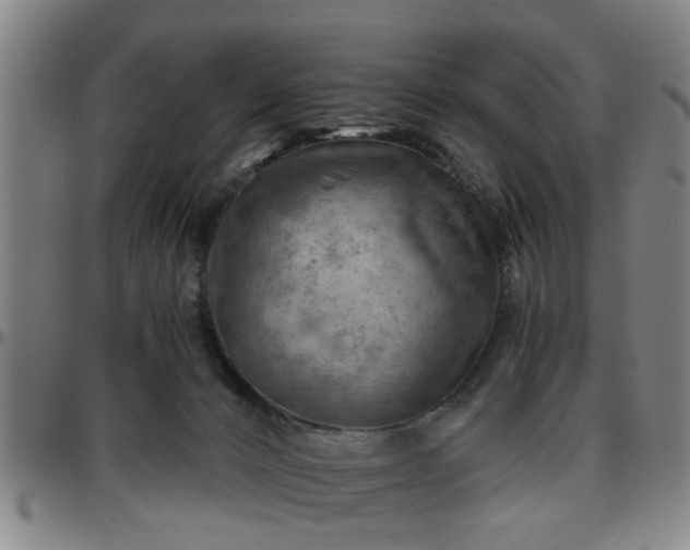 X0000096440032200801311438