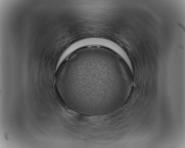 X0000096440033200801311438