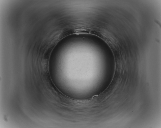 X0000096440034200801311438