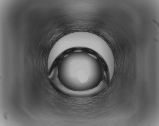 X0000096440035200801311438