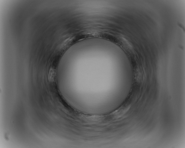 X0000096440036200801311438