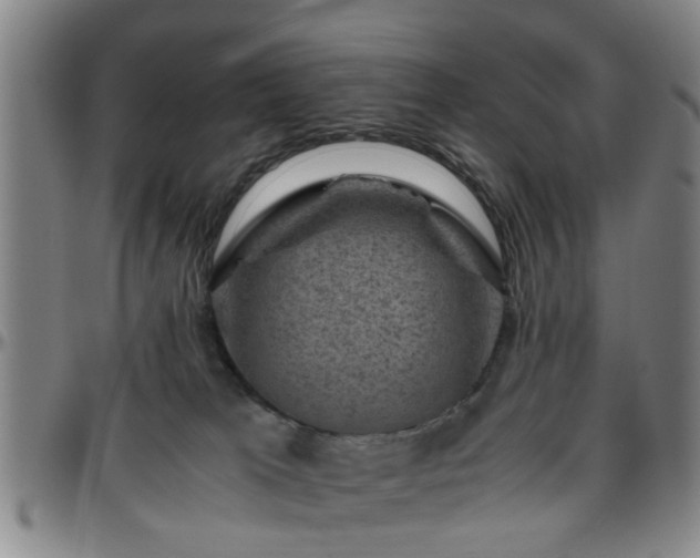 X0000096440037200801311438