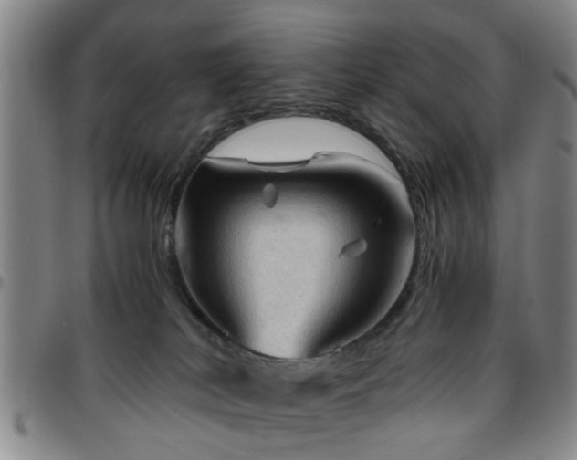 X0000096440038200801311438